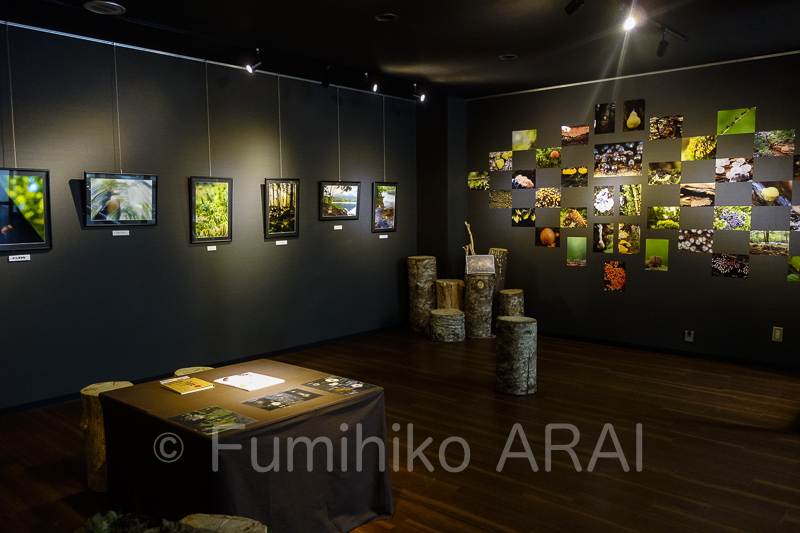 a photographic exhibition